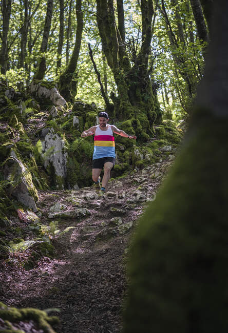 Sportsperson praticare durante la corsa sul sentiero di montagna nel bosco — Foto stock