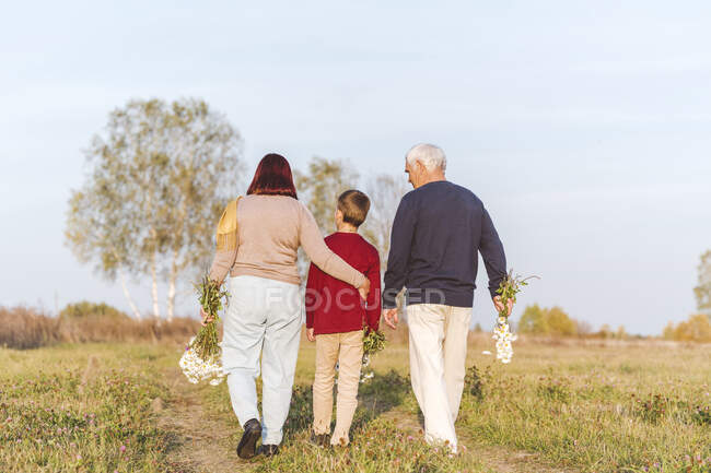Старшая пара прогулка с внуком на поле — стоковое фото