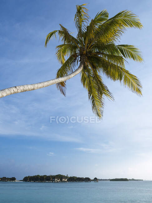 Scenic view of seascape against blue sky, Bali — Stock Photo