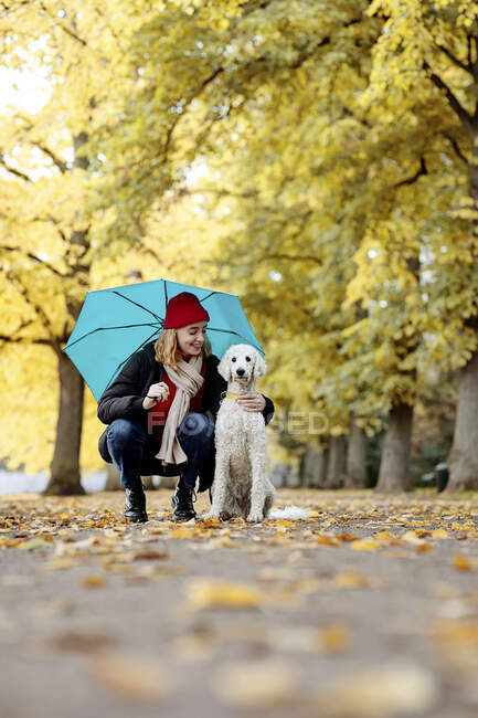 Sorridente ragazza adolescente guardando il cane mentre accovacciato sulla strada al parco — Foto stock