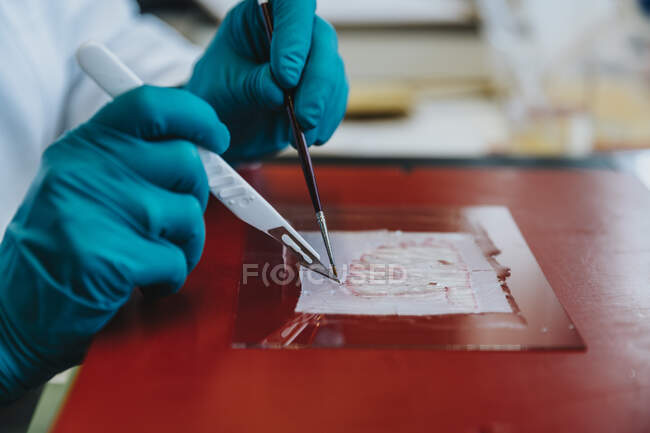 Scienziato che prepara scivolo cervello umano su vetro in laboratorio — Foto stock