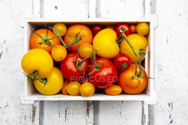 Crate of ripe tomatoes — Stock Photo