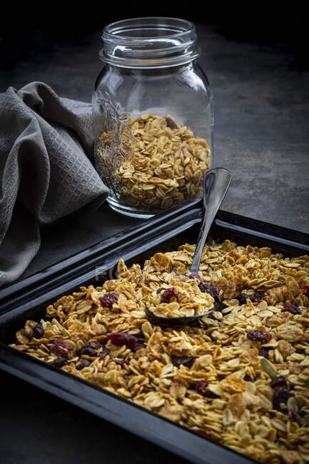 Pan of homemade granola with pumpkin seeds, cranberries and wholegrain oat flakes — Stock Photo