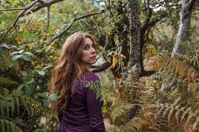 Femme regardant loin tout en marchant entre les plantes dans la forêt à La Pedriza, Madrid, Espagne — Photo de stock