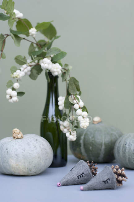 Calabazas, botella con ramas de bayas de nieve y erizos hechos de fieltro y conos de pino - foto de stock