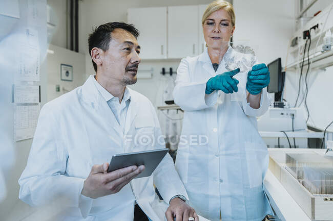 Científicos discutiendo sobre la muestra de vidrio cerebral humano mientras trabajan en el laboratorio - foto de stock