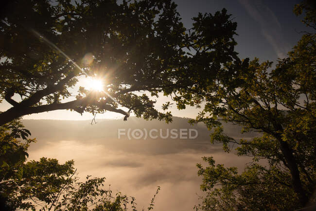 Scenic view of Danube Valley during sunrise at Beuron, Swabian Alb, Germany — Stock Photo