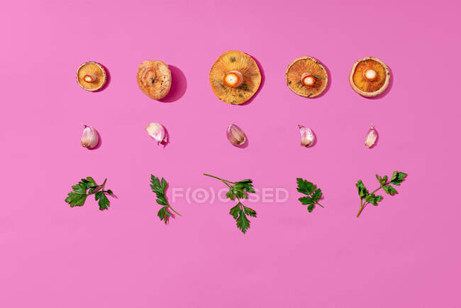 Champiñones, ajo y perejil dispuestos sobre fondo rosa - foto de stock