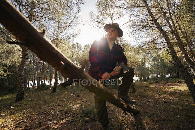 Bushcrafter con hacha de pie por tronco mientras mira hacia otro lado en el bosque - foto de stock