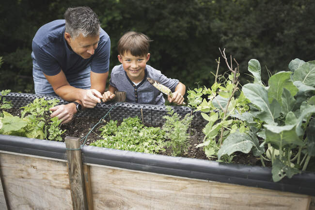 Smiling boy learning gardening from father while leaning on raised bed at garden — Stock Photo