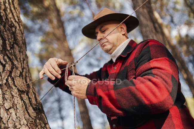 Bushcrafter atar la cuerda a la corteza del árbol en el bosque - foto de stock
