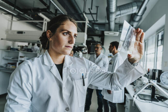Giovane donna esaminando scivolo cervello umano mentre in piedi con il collega in background in laboratorio — Foto stock