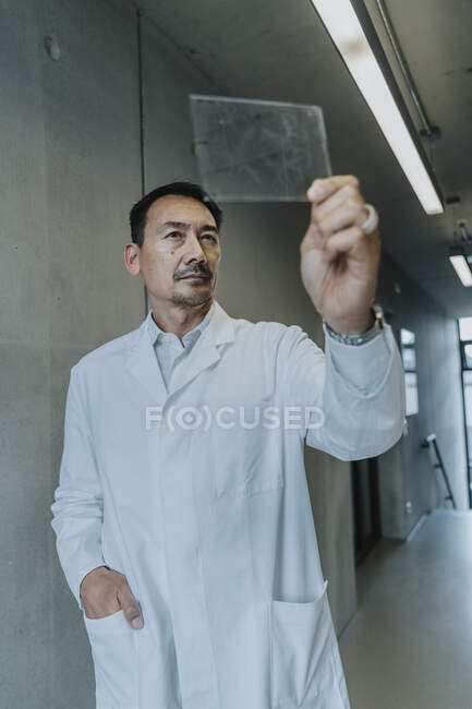 Scientist with hand in pocket examining human brain glass sample while standing at clinic corridor — Stock Photo