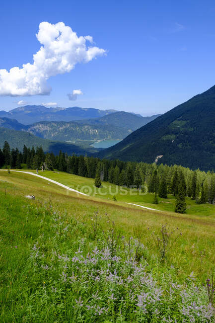 Сценічний вид на літні луки в Баварських Альпах. — стокове фото