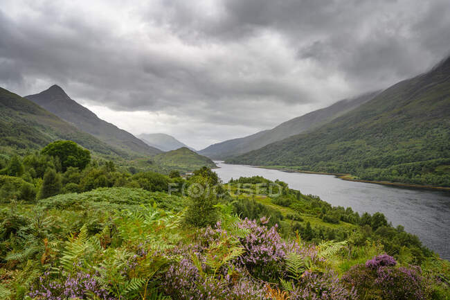 Hermosa vista del paisaje natural - foto de stock
