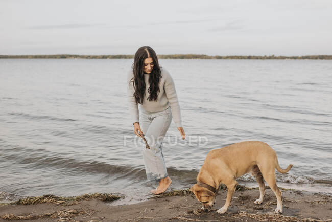 Mujer jugando con el perro de pie en el lago durante el atardecer - foto de stock