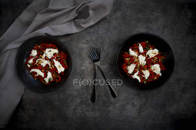 Due ciotole di insalata vegetariana con peperoni rossi, mozzarella, pinoli arrosto, prezzemolo e erba cipollina — Foto stock