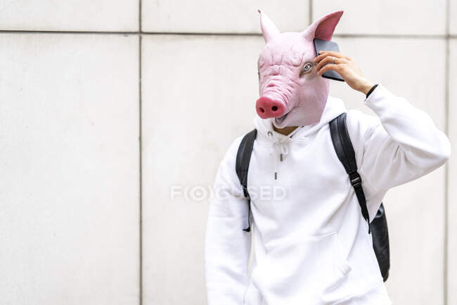 Joven con máscara de cerdo tomando el teléfono móvil contra la pared - foto de stock