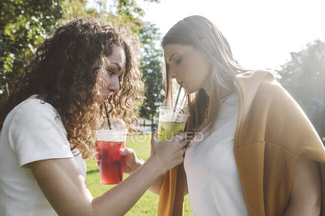 Belles amies partageant des limonades au parc le jour ensoleillé — Photo de stock