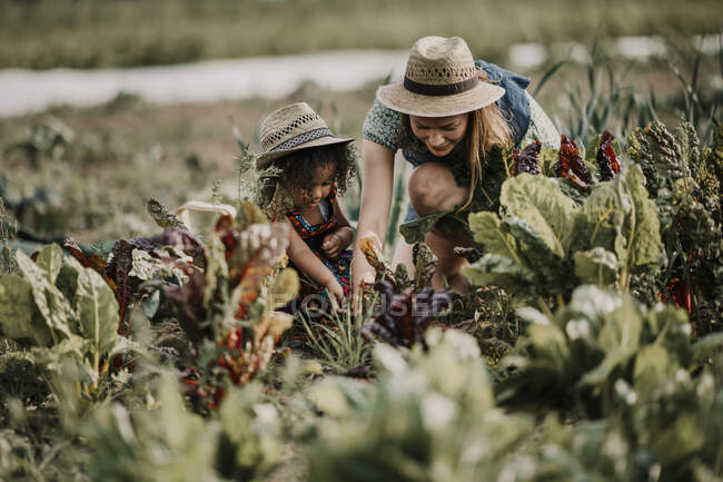 Campesina que trabaja mientras se agacha por hija en la granja - foto de stock
