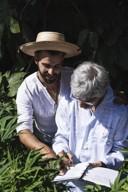 Чоловічий фермер і вчений обговорюють питання про рослини - коноплі на фермі. — стокове фото