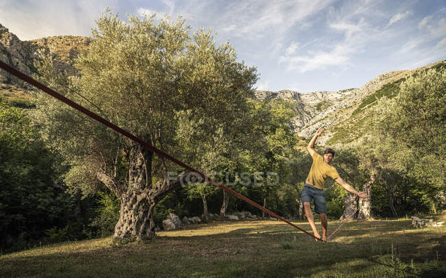 Hombre caminando en slackline entre olivos viejos en paisaje - foto de stock