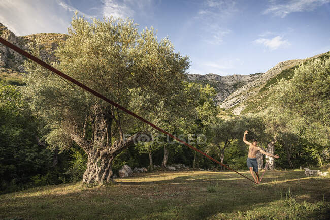 Man walking on slackline between old olive trees in landscape — Stock Photo