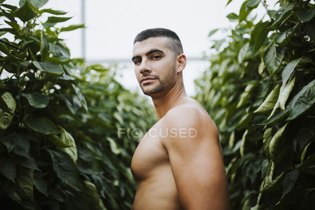 Bonito homem sem camisa em pé na fazenda orgânica — Fotografia de Stock