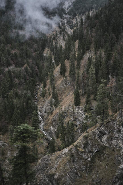 Eine hochauflösende Aufnahme eines Berges mit Bäumen im Hintergrund — Stockfoto