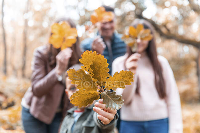 Сімейні перегородки з сухим листям стоять у парку восени. — стокове фото