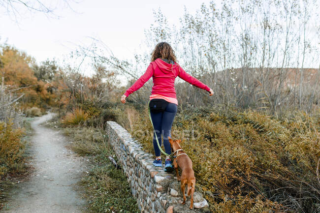 Femme adulte moyenne avec son chien marchant sur le mur de soutènement à la campagne — Photo de stock