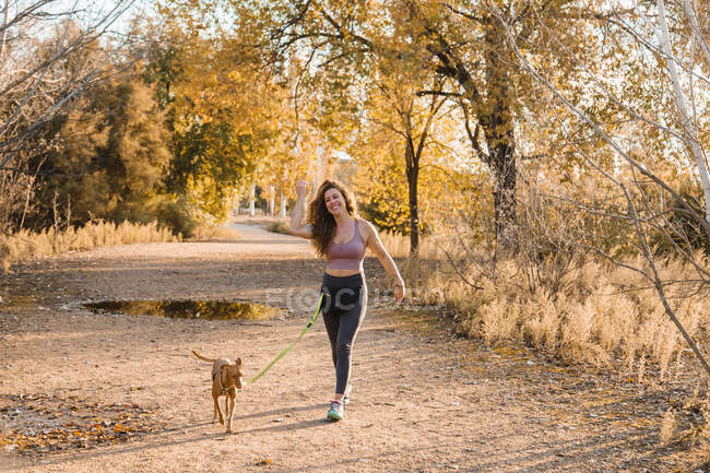 Mujer alegre paseando con su perro en el campo en un día soleado - foto de stock