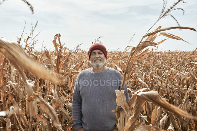 Улыбающийся фермер стоит на кукурузном поле в солнечный день — стоковое фото