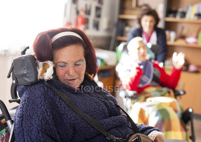 Зрелая женщина-инвалид с морской свиньёй сидит на инвалидной коляске в реабилитационном центре — стоковое фото