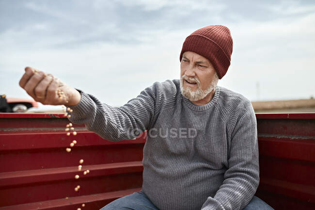 Фермер в вязаной шляпе изучает культивируемую сою на ясном небе. — стоковое фото