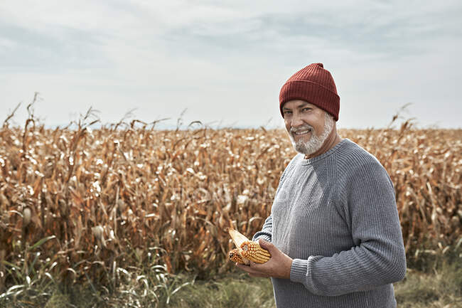 Granjero sonriente sosteniendo maíz mientras está parado en granja de maíz - foto de stock