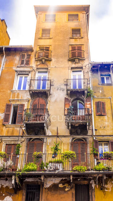 Italy, Province of Verona, Verona, Windows and balconies of old residential building — Stock Photo