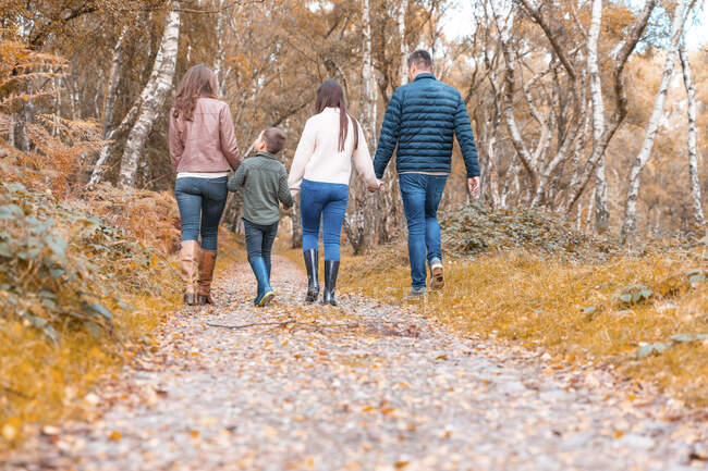 Familia cogida de la mano caminando en Cannock Chase park durante el otoño - foto de stock