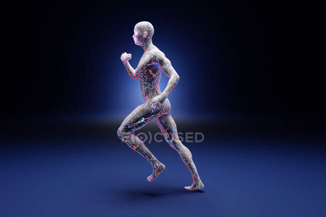 3D-Illustration männlicher sportlicher Läufer aus Beton und fließender Energie vor blauem Hintergrund — Stockfoto