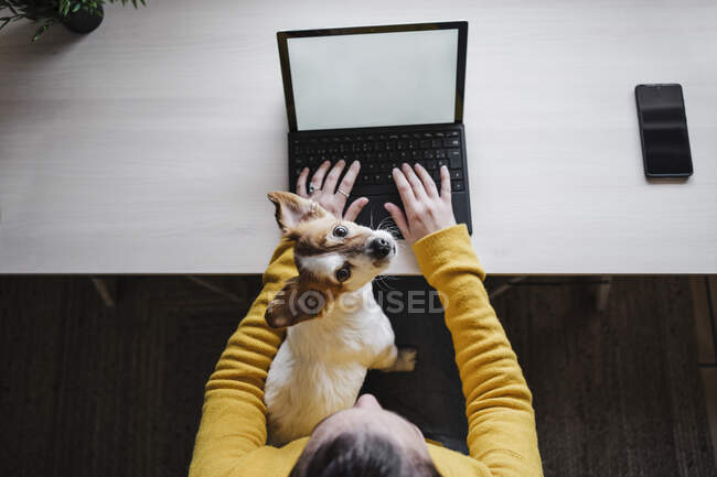 Mulher sentada com cão enquanto trabalhava em tablet digital no escritório em casa — Fotografia de Stock