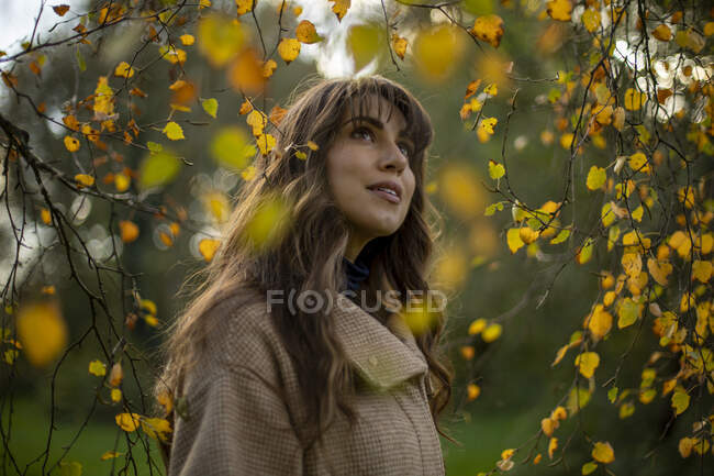 Mid adult woman looking up while day dreaming in public park during autumn - foto de stock