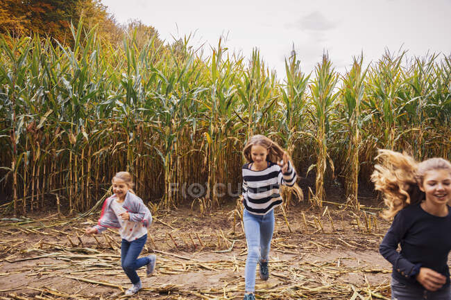 Meninas jogando enquanto corre no campo de milho — Fotografia de Stock