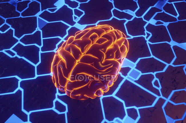 Illustrazione resa 3D del cervello sul circuito stampato che simboleggia algoritmi di apprendimento automatico — Foto stock