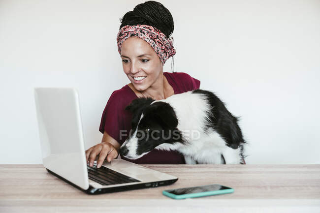 Жіночий фрилансер з кордонами Коллі за допомогою ноутбука на столі в домашньому офісі. — стокове фото