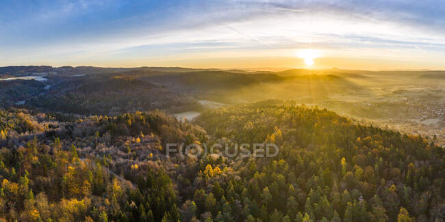 Drone view of autumn forest at foggy sunrise - foto de stock