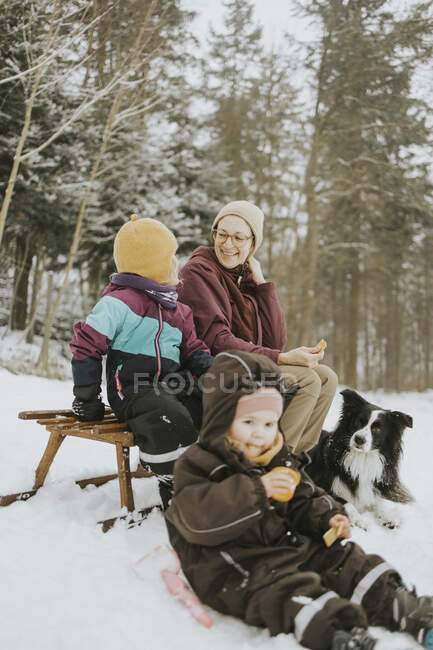 Famiglia con Frontiera Collie seduta su slitta sul campo innevato durante il fine settimana — Foto stock