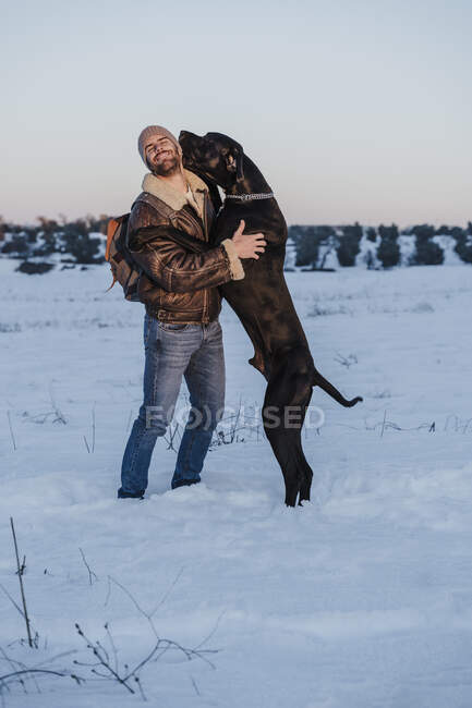 Грайливий Великий Денний собака спирається на людину в снігу проти ясного неба — стокове фото