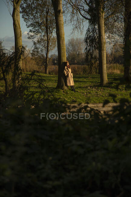 Средняя взрослая женщина, опирающаяся на ствол дерева в общественном парке осенью — стоковое фото