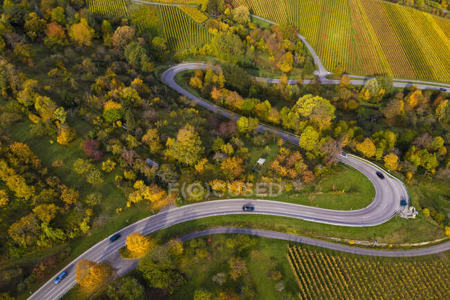 Aerial view of country road winding between autumn vineyards, Baden-Wurttemberg, Germany — Stock Photo
