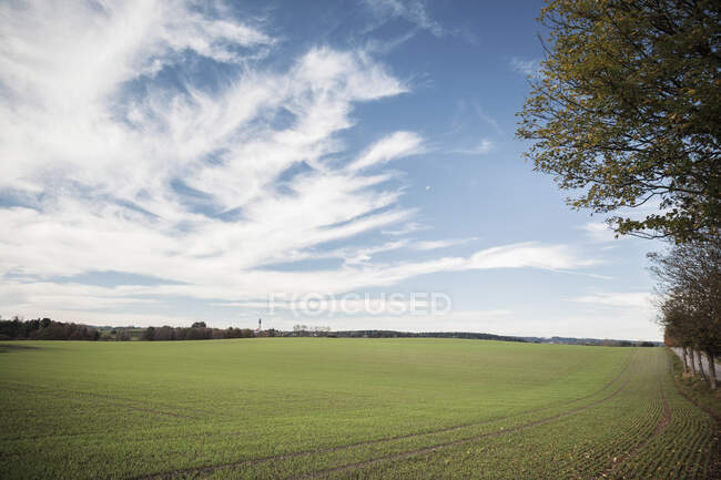 Campo agricolo contro il cielo in campagna — Foto stock